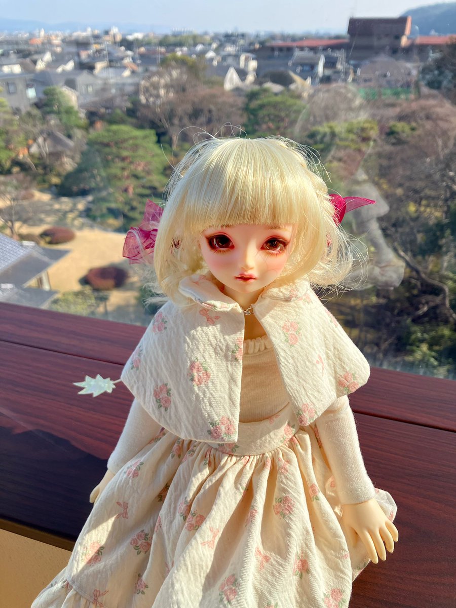 lily___1111's tweet photo. 2回くらい行っているが天使の里に初めて
うちの子を連れて行った！
写真はこれから撮り続けて他のドールオーナーさんのように頑張って上手くなろう💪

初めて遠くまで連れて行ったのでヒヤヒヤしながら動いていた😸
いずれは２人連れていくぞ🔥

#天使の里
#スーパードルフィー https://t.co/QbY6d8Sr3M