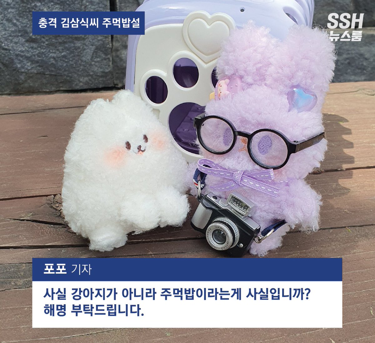 소소한 인형공방💕 tweet media