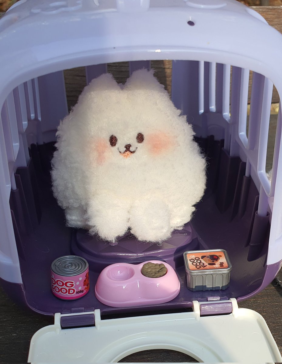 소소한 인형공방💕 tweet media