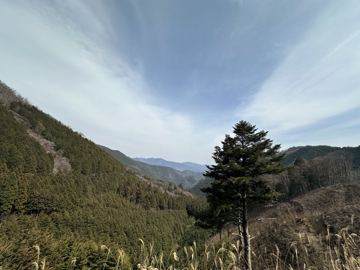 🔰KENZO🔰 ロードバイク初心者🔰 tweet media