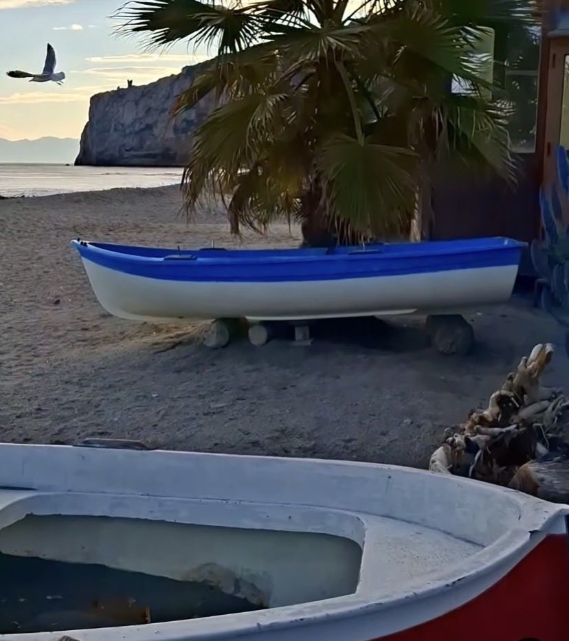 Làchiarella tweet media