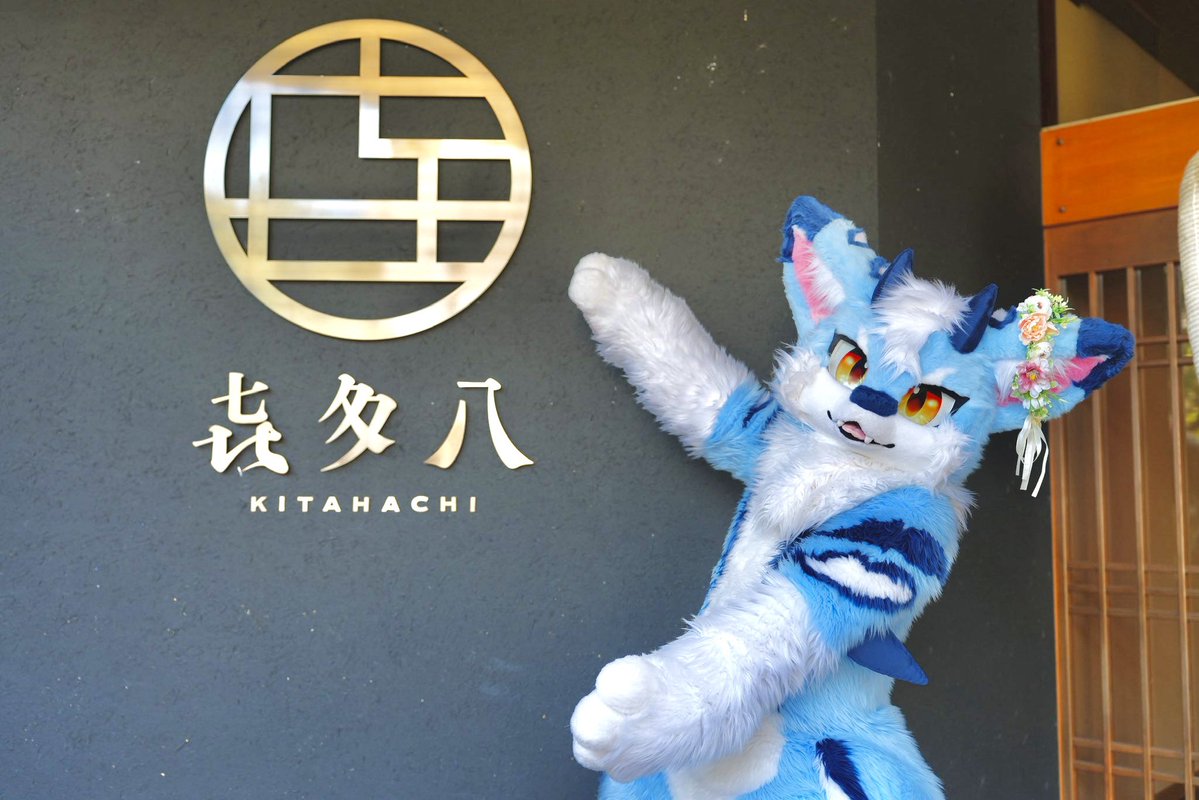 陶凪（トウナ） tweet media