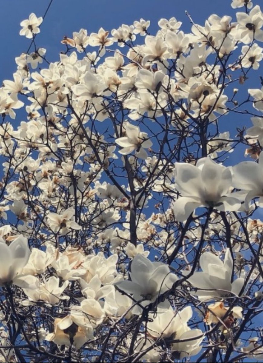 冥夢 meimu tweet media