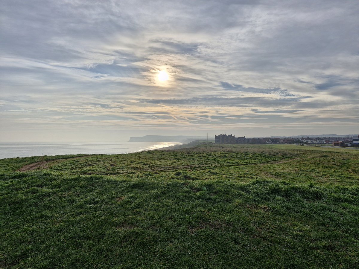 SCANNERMAN tweet media