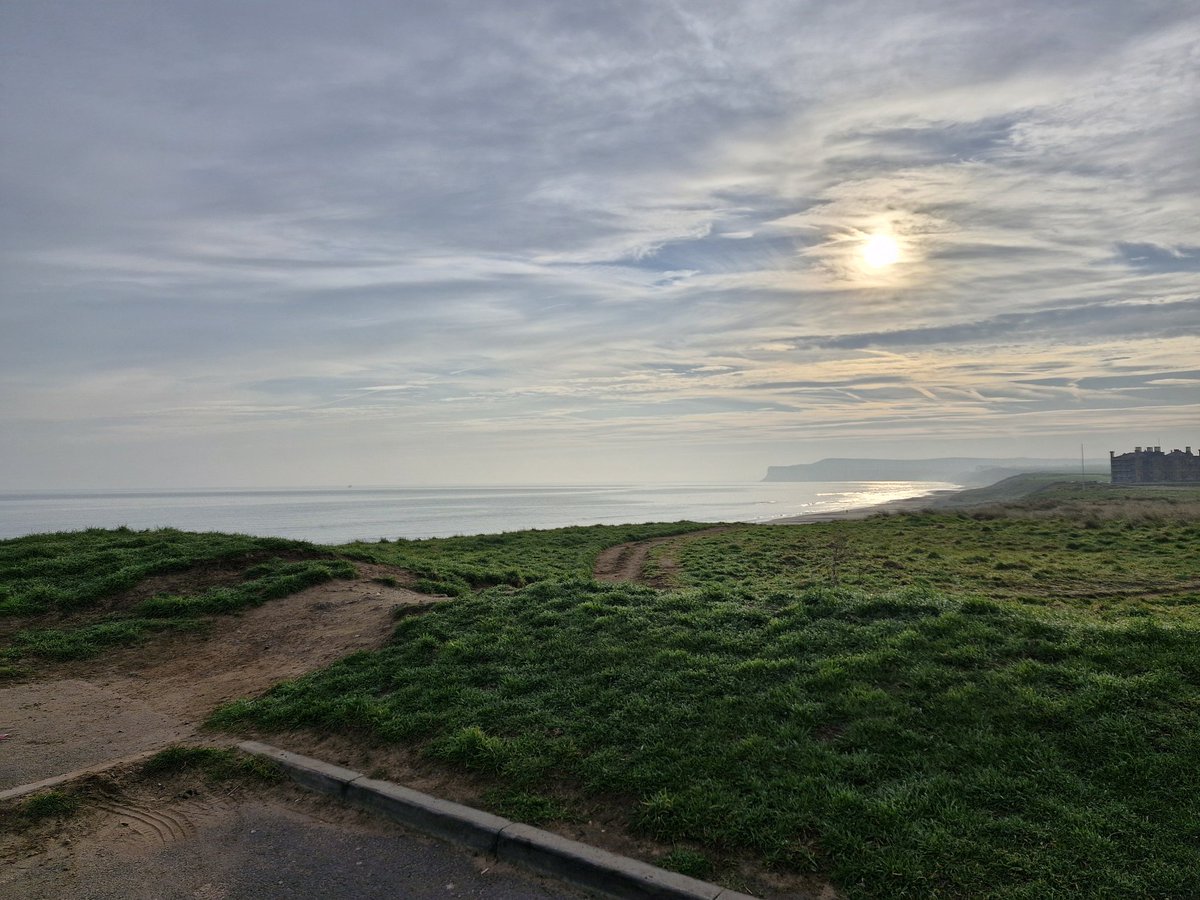 SCANNERMAN tweet media