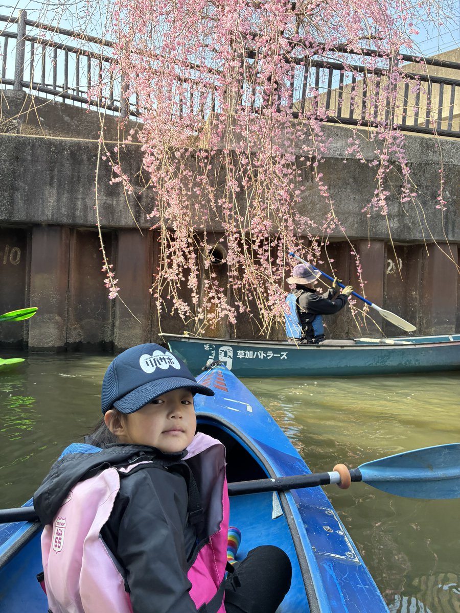 矢部正平「草加市議会議員」 tweet media