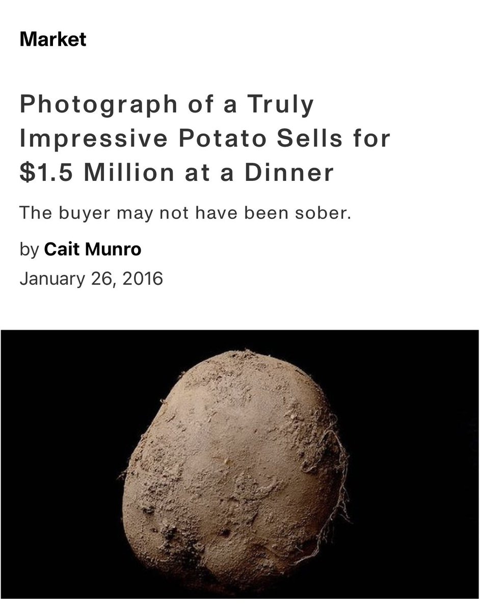 anika meier tweet media