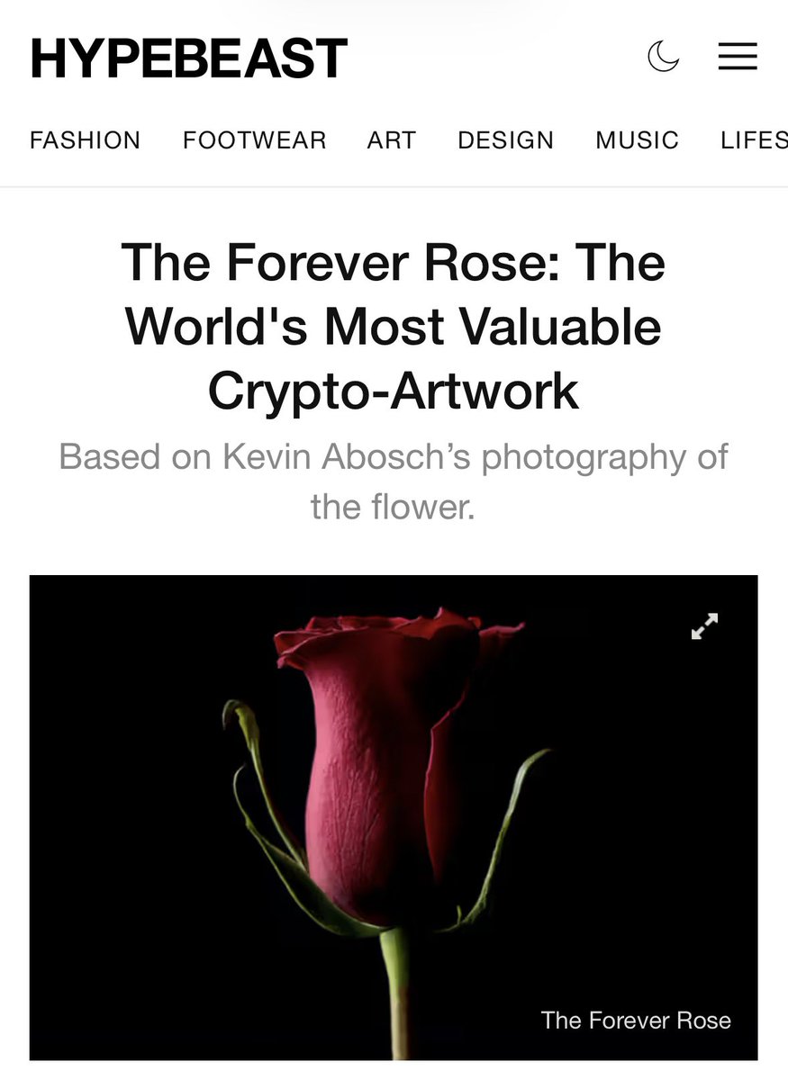 anika meier tweet media