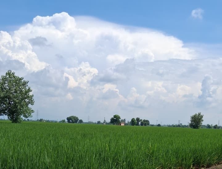 Chain Frontier tweet media