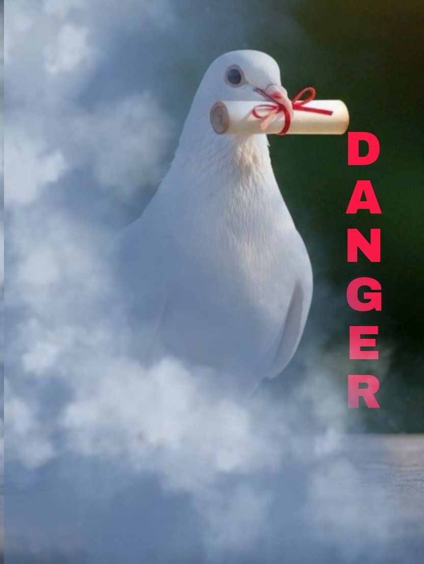TRUTHTRUTH96095's tweet photo. #BIGWARNING
#BreakingNews
#WorldNews
“A shocking Truth has begun to slowly #leakout — a massive #Danger is taking shape.”
⚠️🛑☢️ https://t.co/qfJgvgHiOV