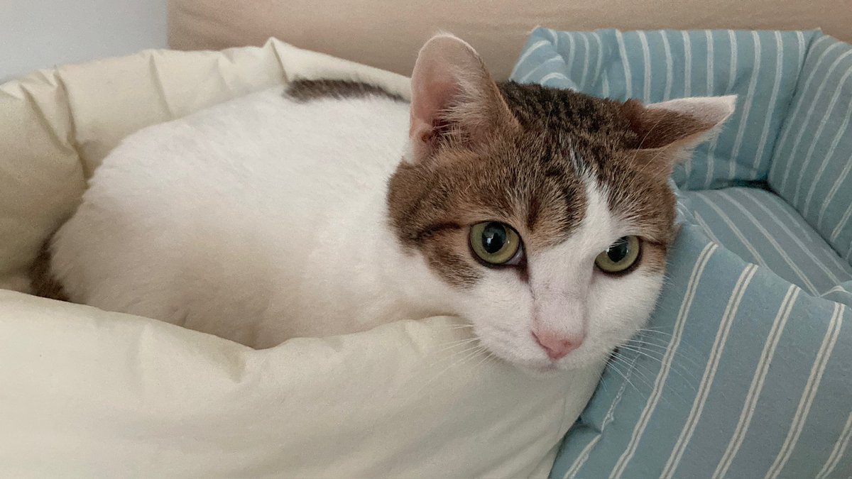 수목이 tweet media