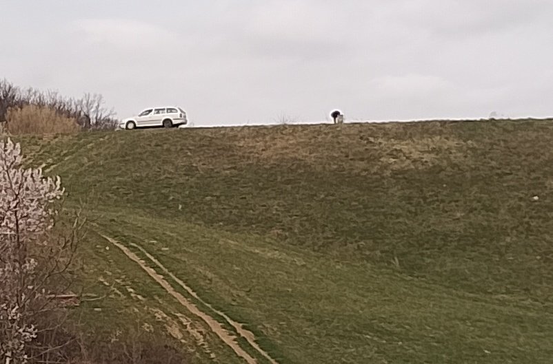 Ser Žile tweet media