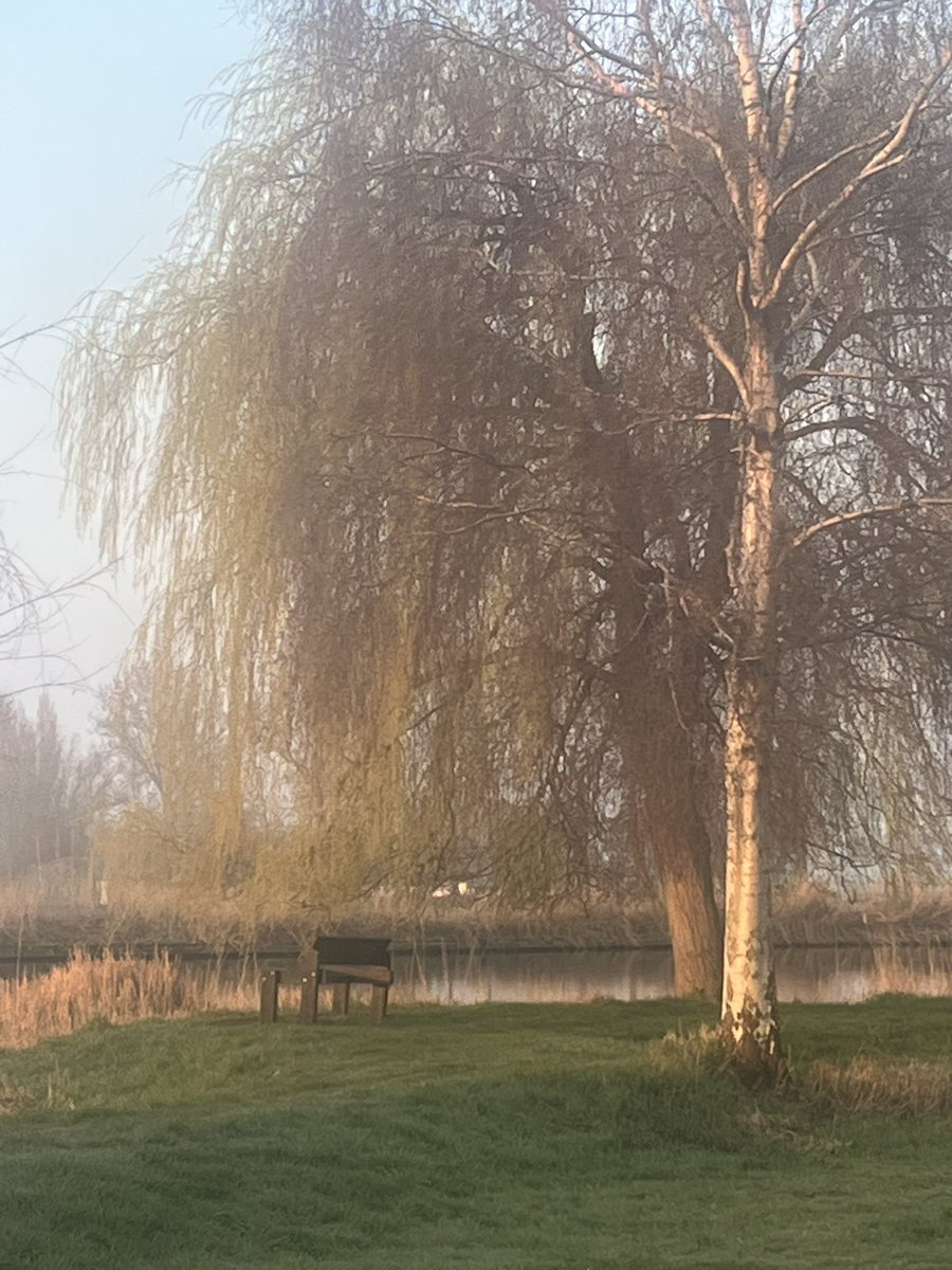 Danielle Spoelstra tweet media