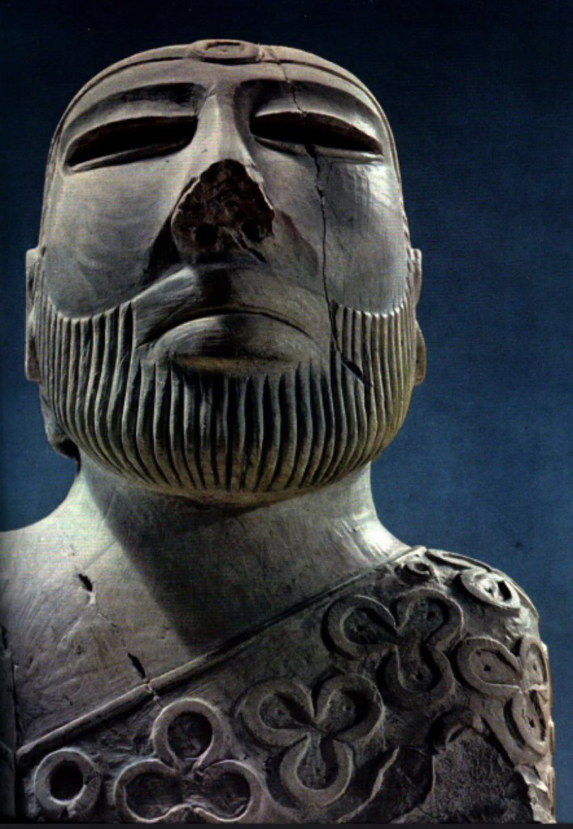 Dr. Van Nostrand tweet media