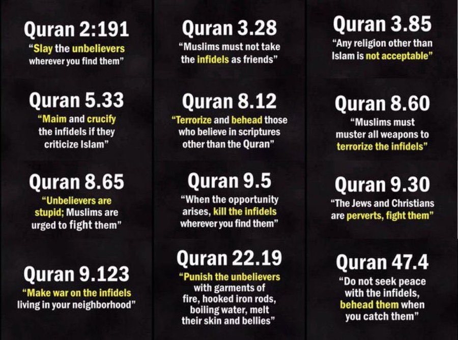 miguel pires tweet media