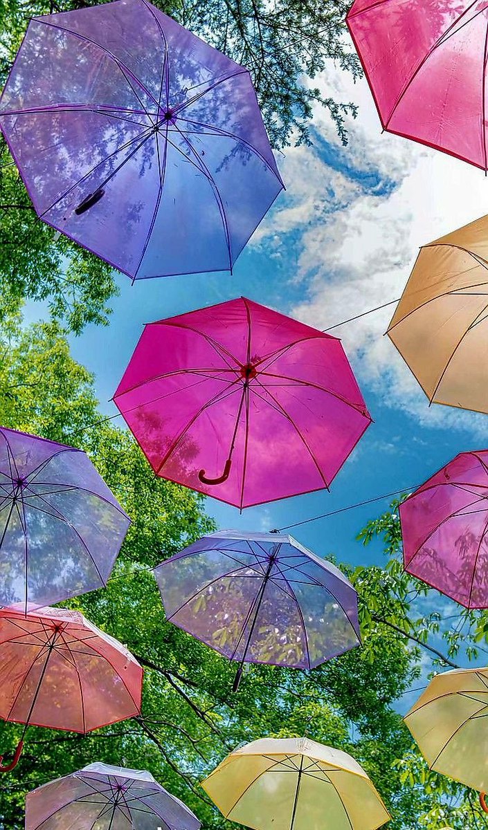 JulieParker144's tweet image. Mark 4:20 And these are they which are sown on good ground; such as hear the word, and receive it, and bring forth #fruit, some thirtyfold, some sixty, and some an hundred.