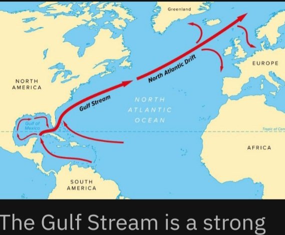 Commandante Pangolin Hugger tweet media