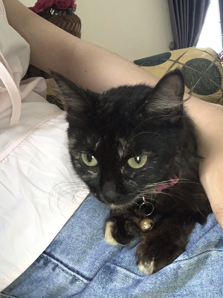 Lucathy. tweet media