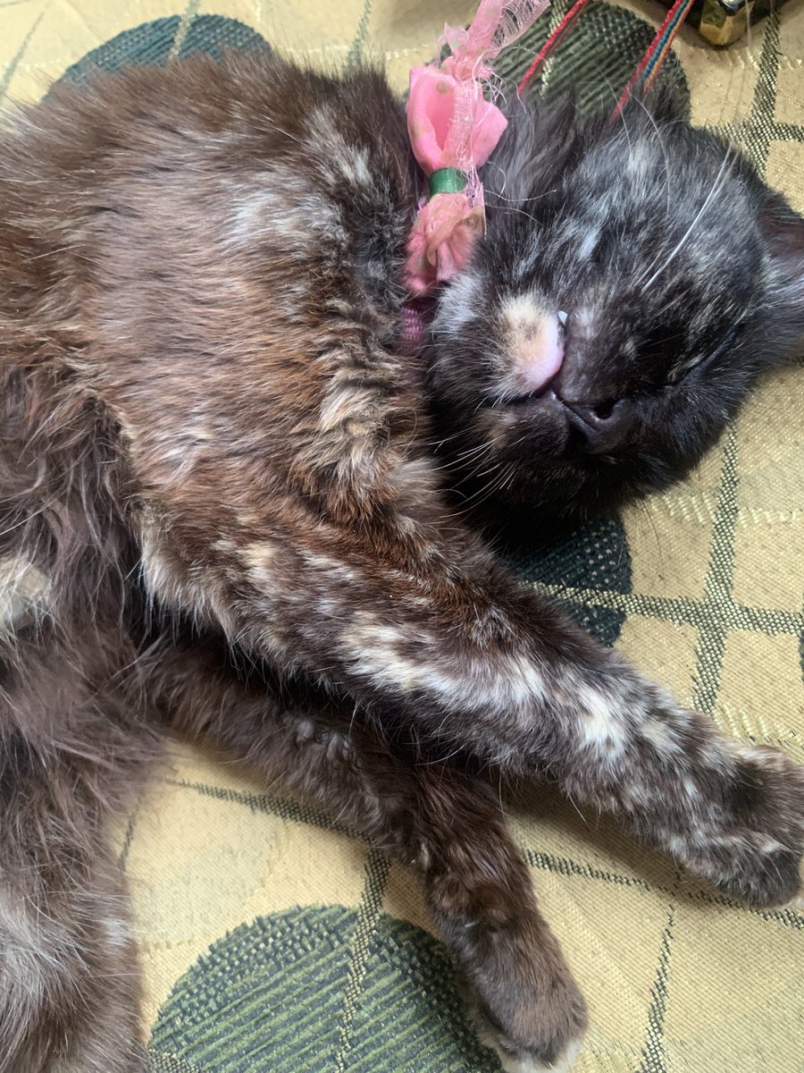 Lucathy. tweet media