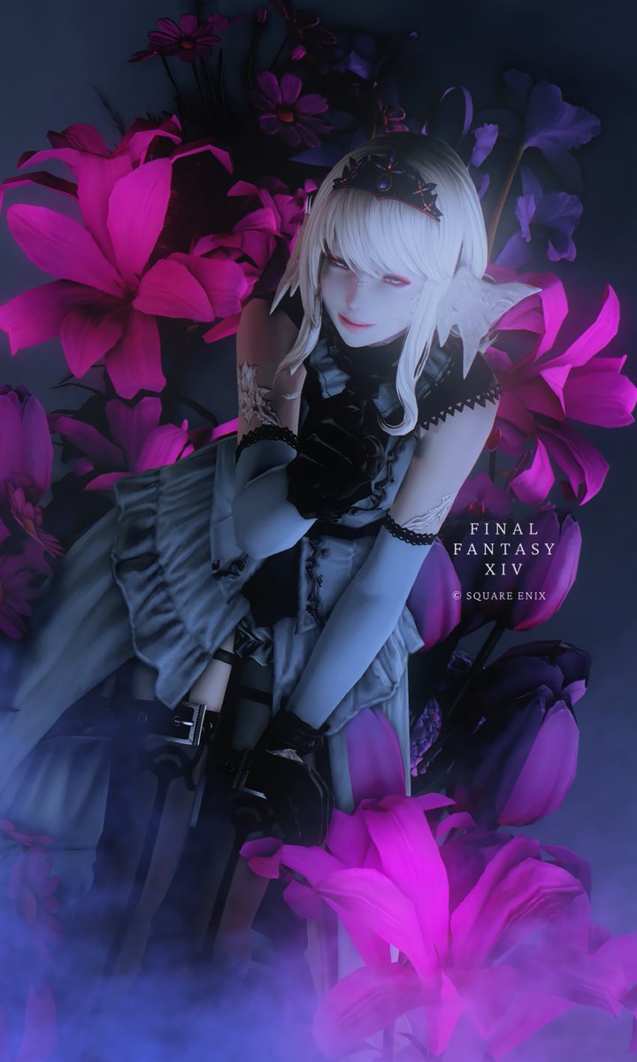 Anne🕊 tweet media