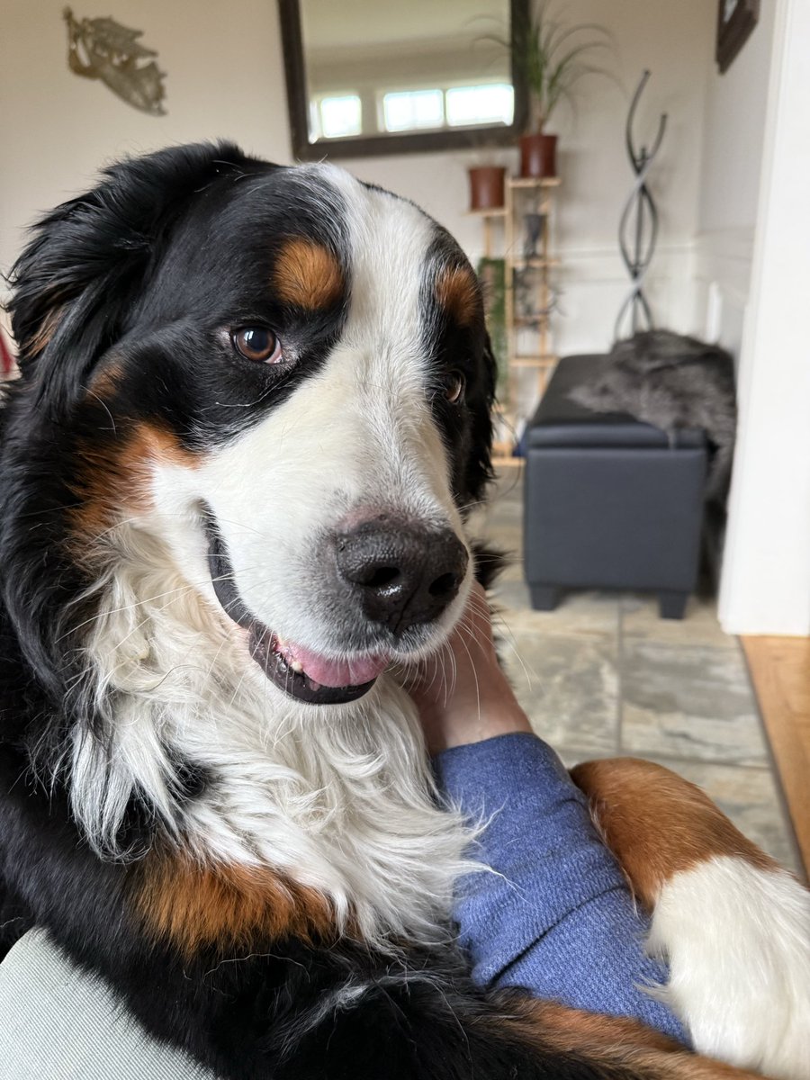 chadlackey tweet media