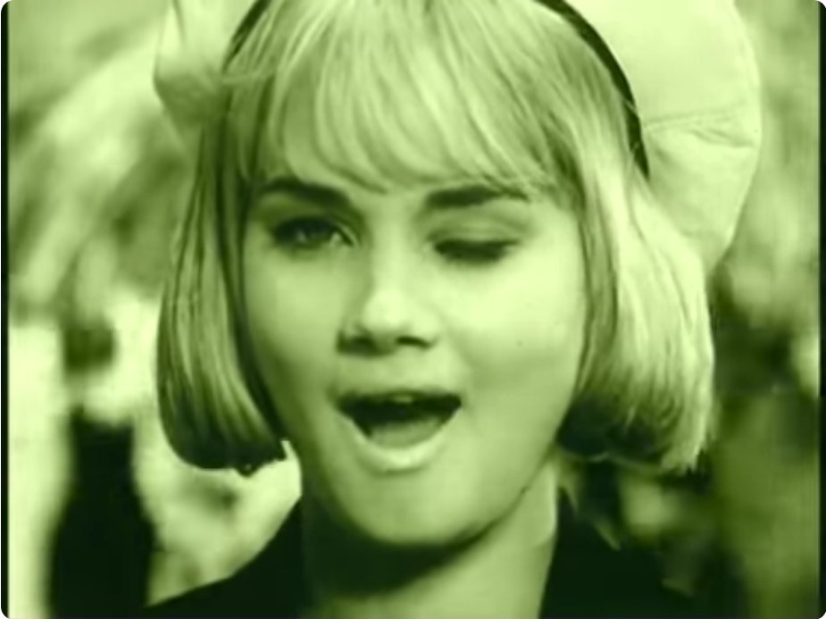 🄲🄰🅃-🅂🄷🄰🄿🄴🄳 tweet media