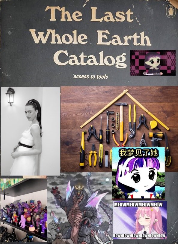 Nightjar 🟦 tweet media