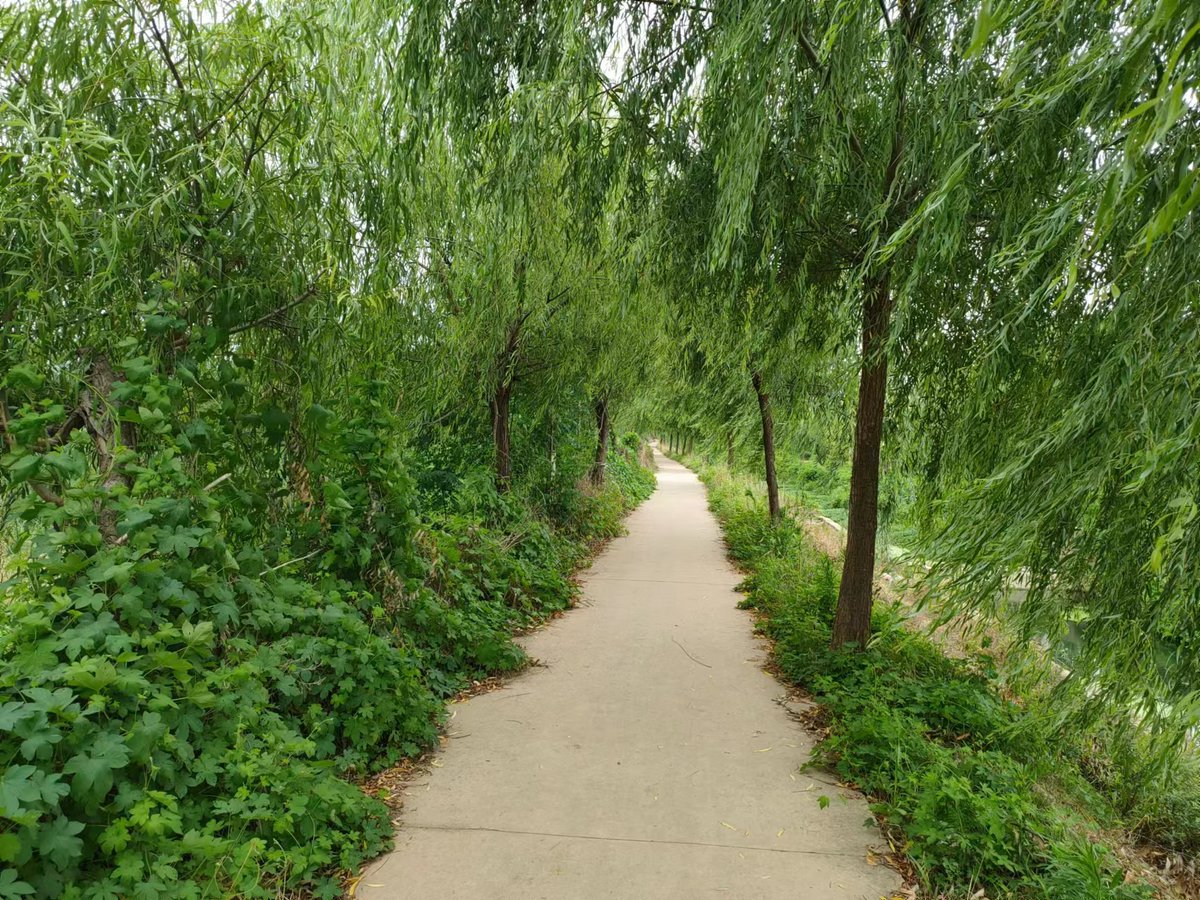 Mustafa Ko!es tweet media