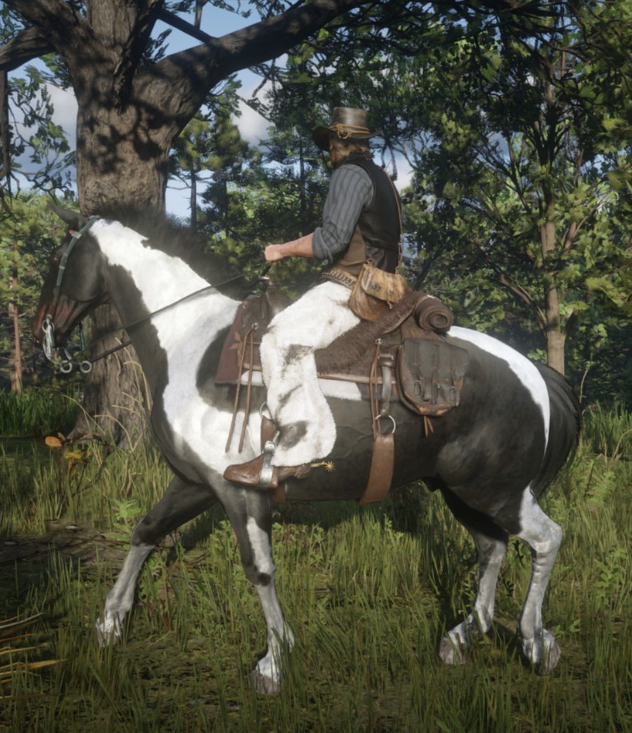 pip 🌱 tweet media