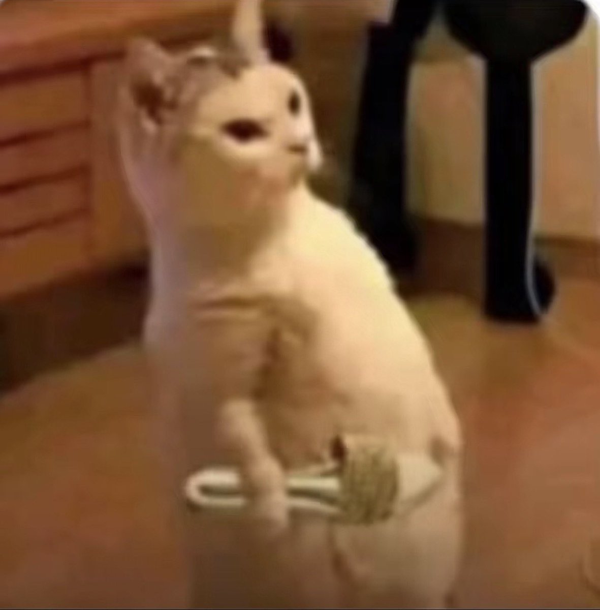 Rac 𖣂 tweet media