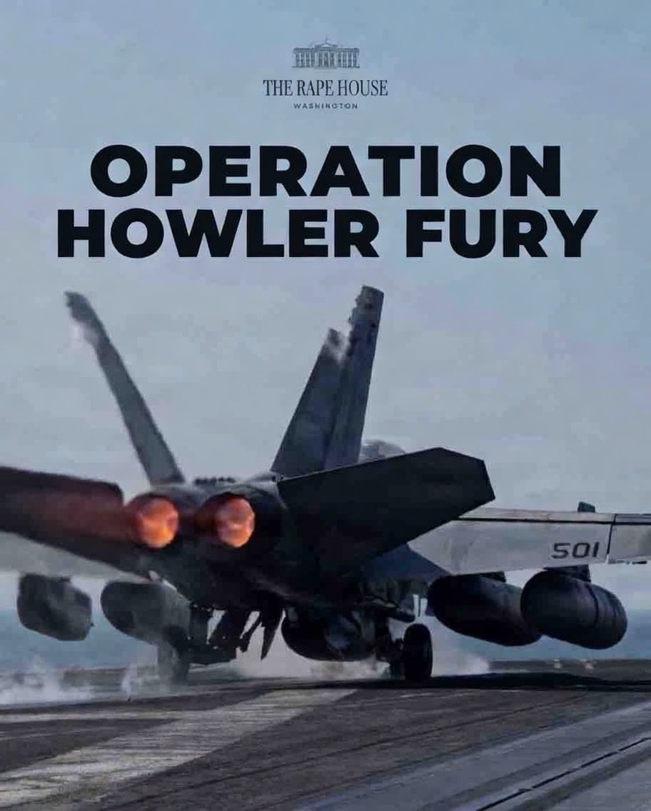 HowlingBaldEagle tweet media