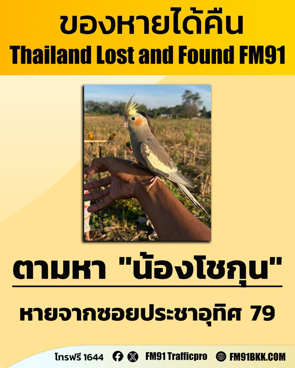 FM91 Trafficpro tweet media