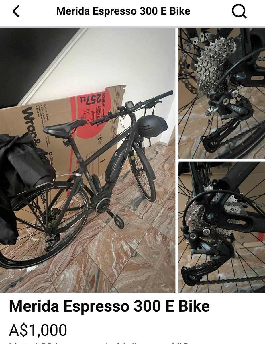 gerf (fred) tweet media