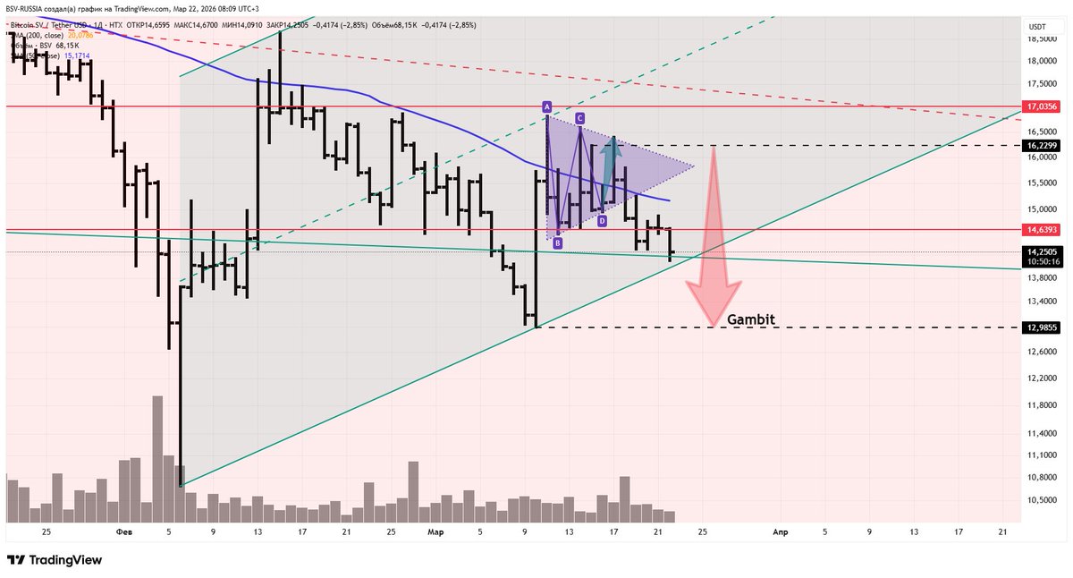 BitcoinSV Russia 🐉 tweet media