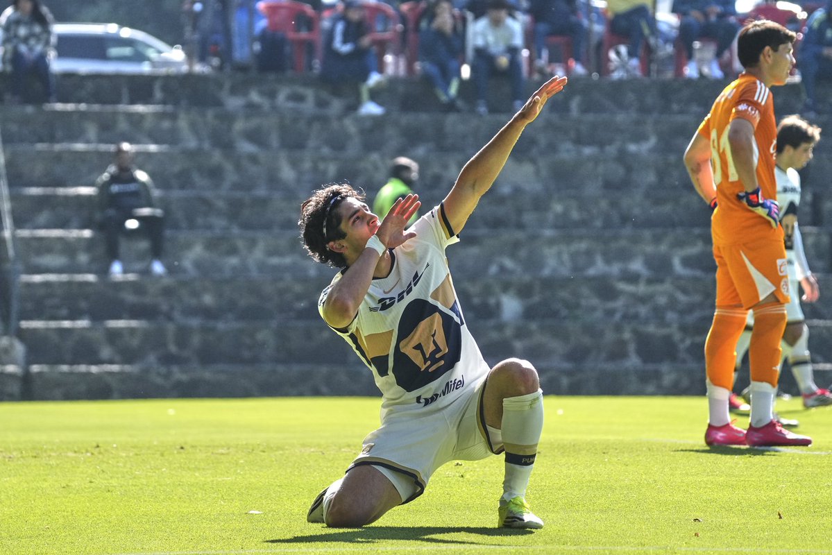 🔸El Tío Alex Auriazul 🔸 tweet media