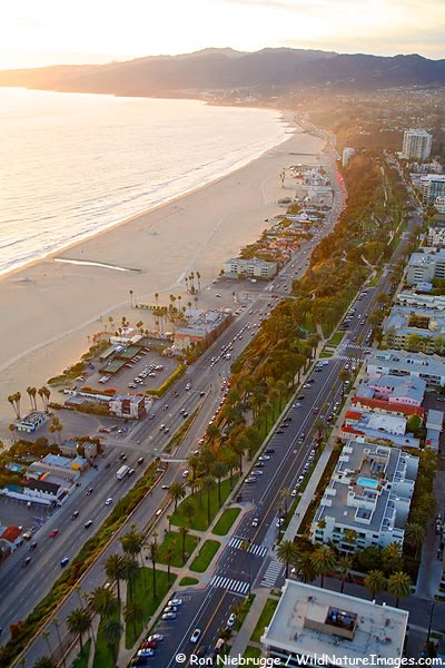 Beauty Explorer tweet media