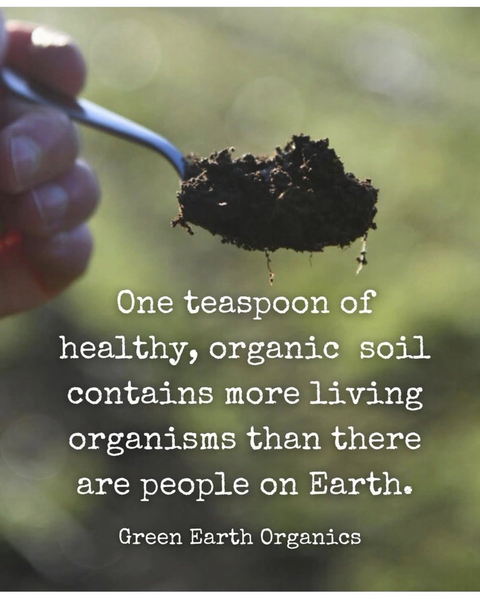 Nemophilist✨🌿🌲 tweet media