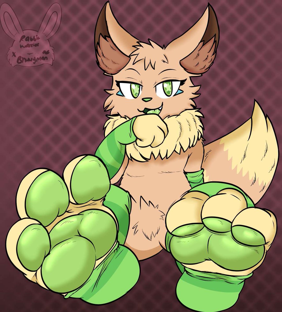  Beany C. Paws  tweet media