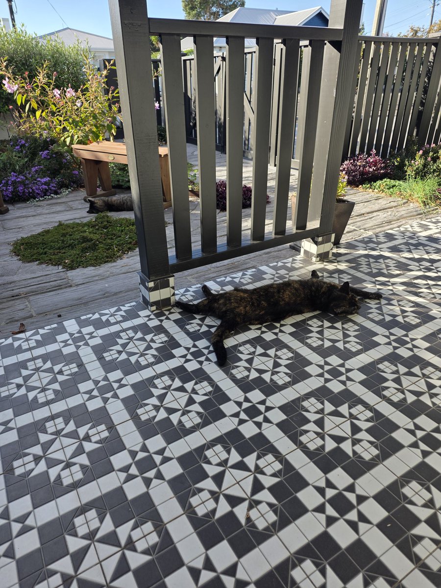 Shona Glentworth tweet media