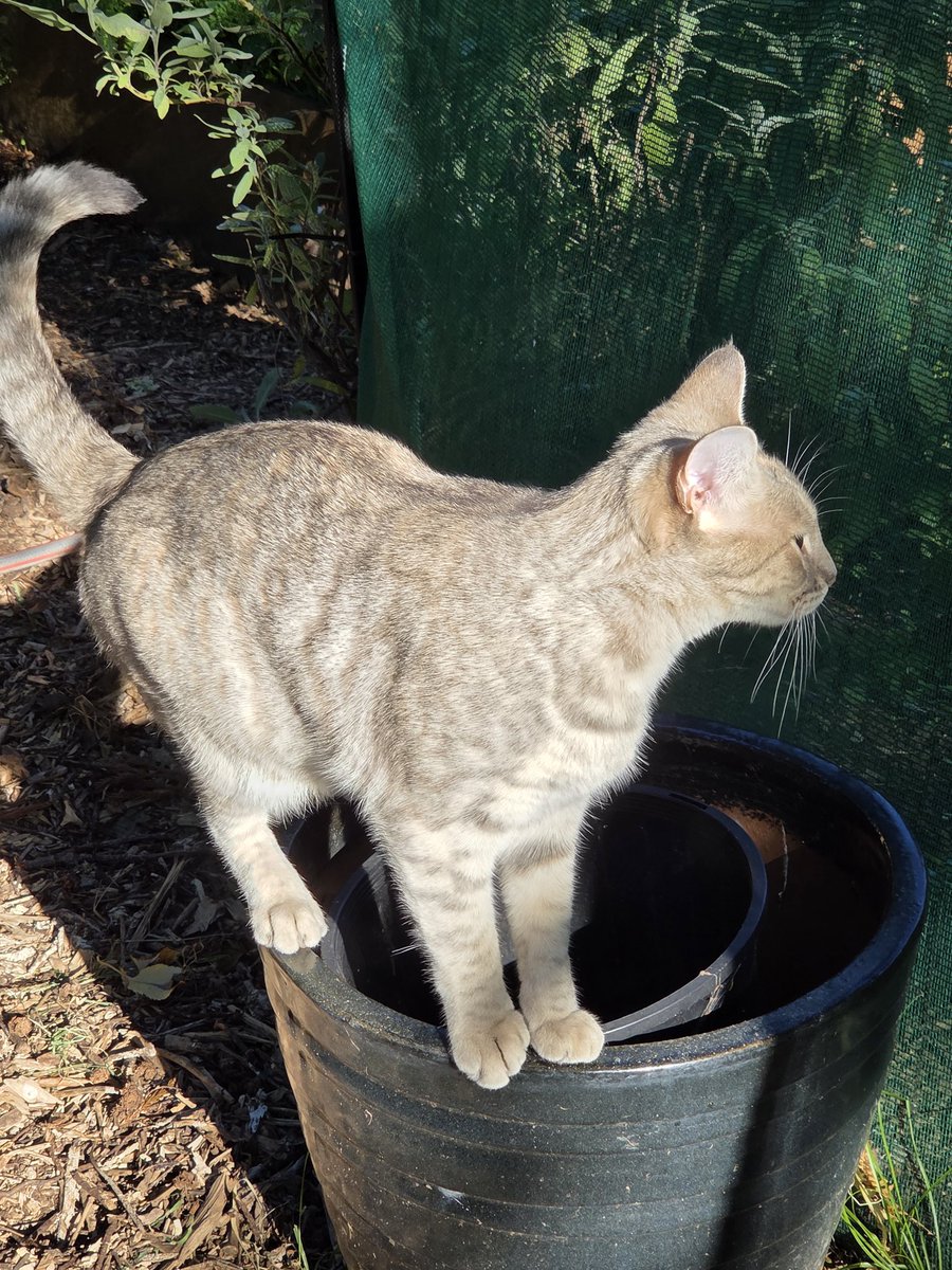 Shona Glentworth tweet media