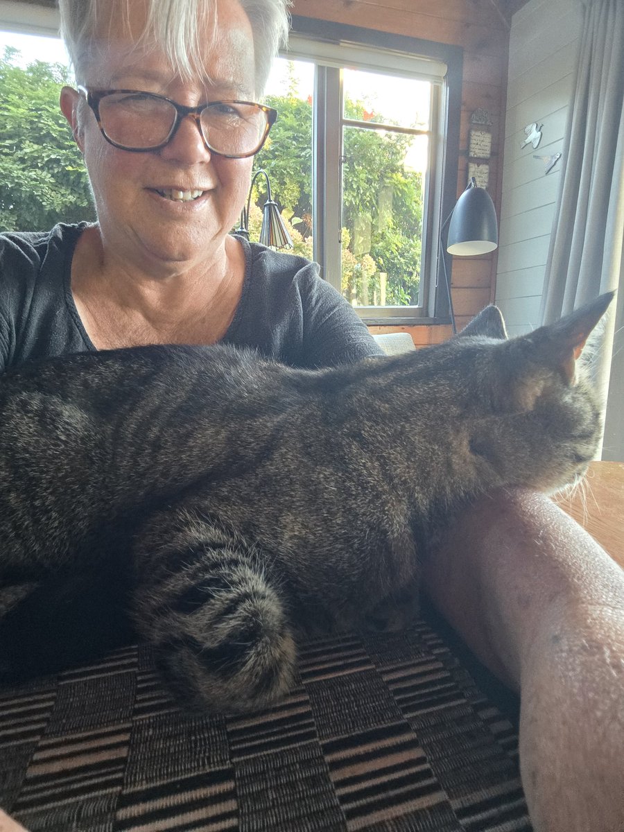 Shona Glentworth tweet media