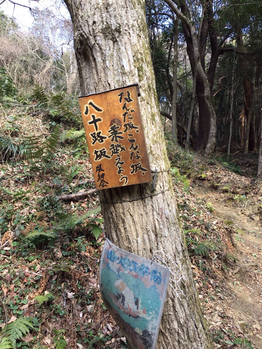 ぬまんちゅ tweet media