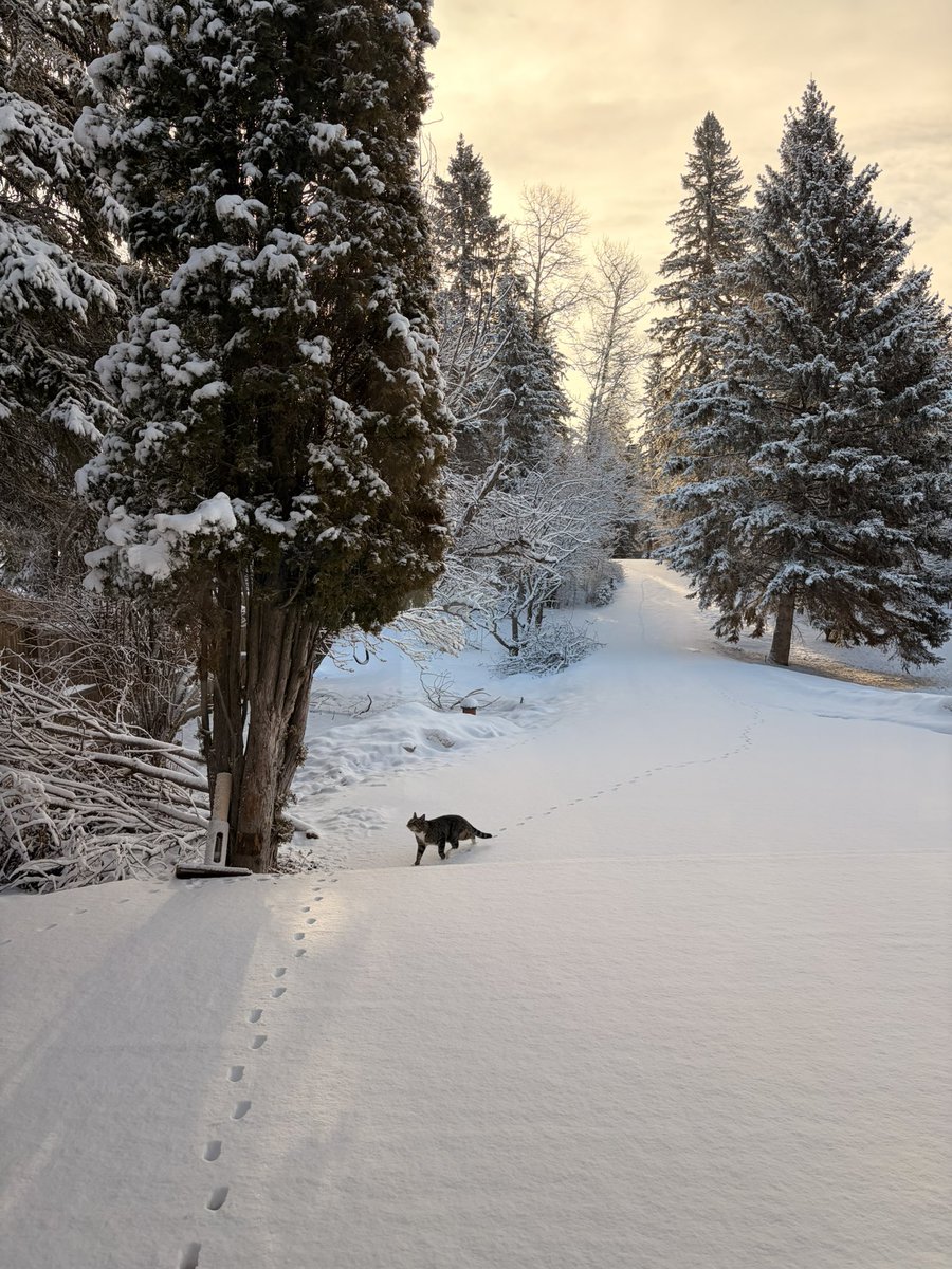 Mommy beautiful like a clown tweet media