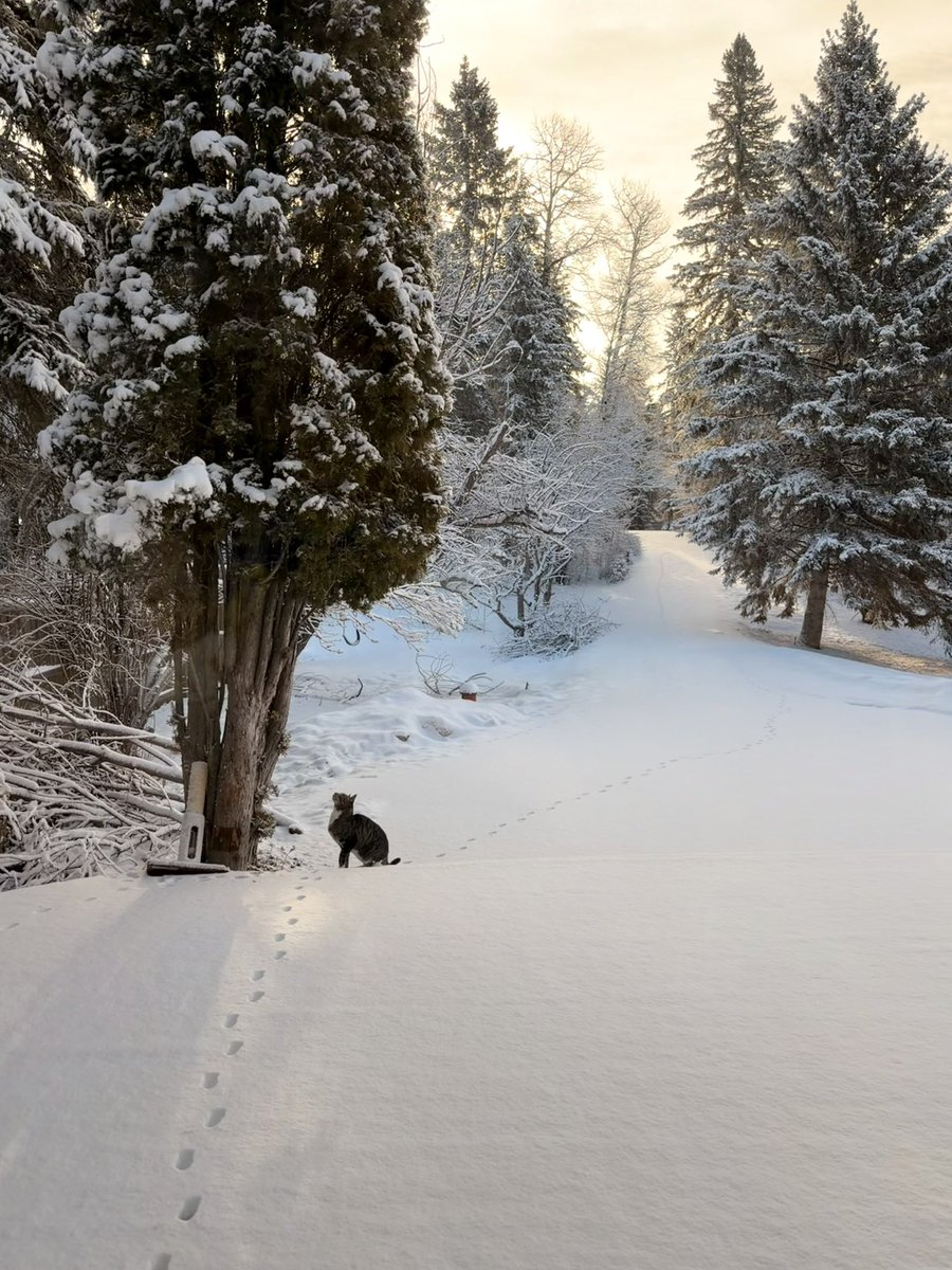 Mommy beautiful like a clown tweet media