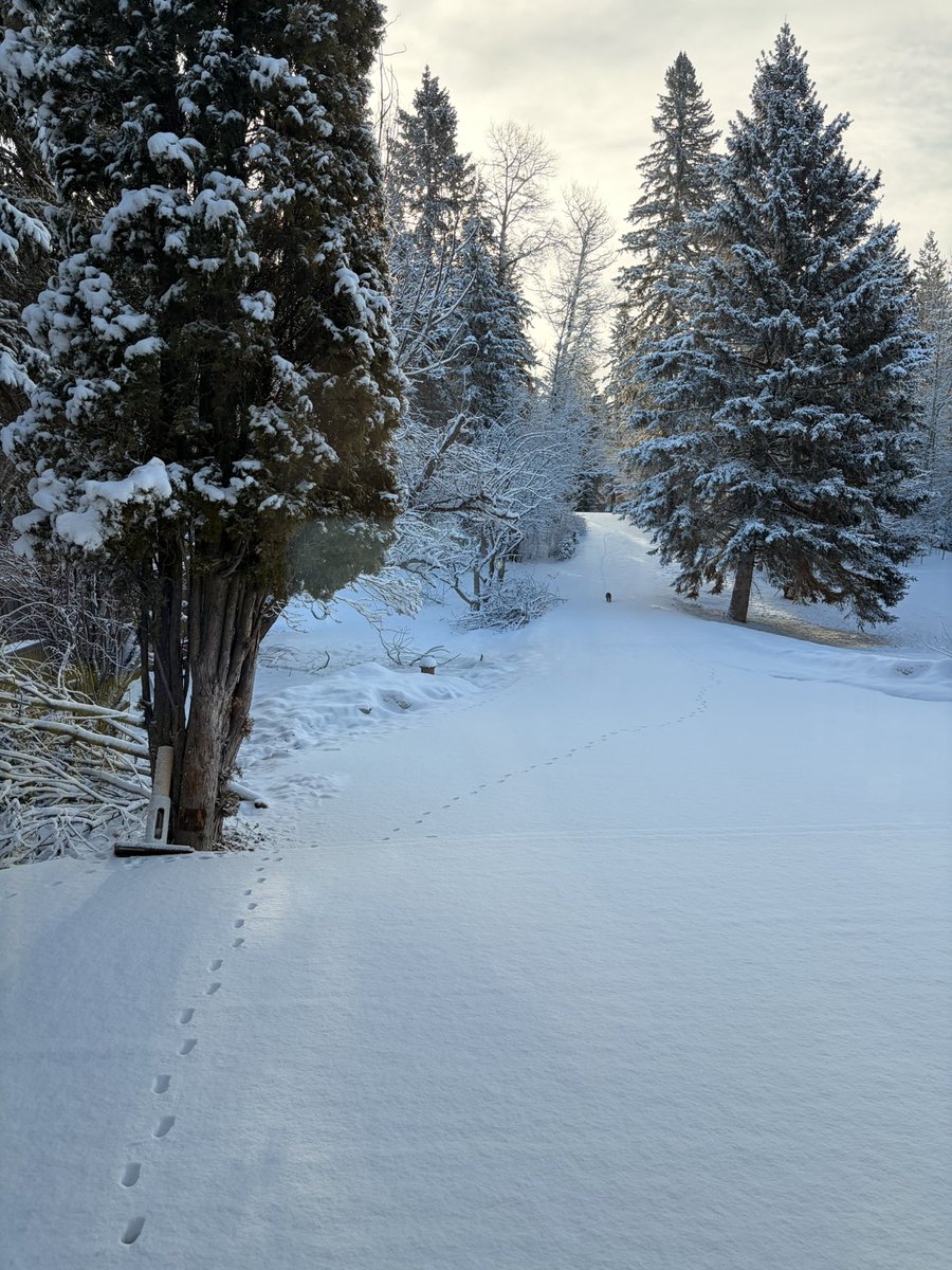 Mommy beautiful like a clown tweet media