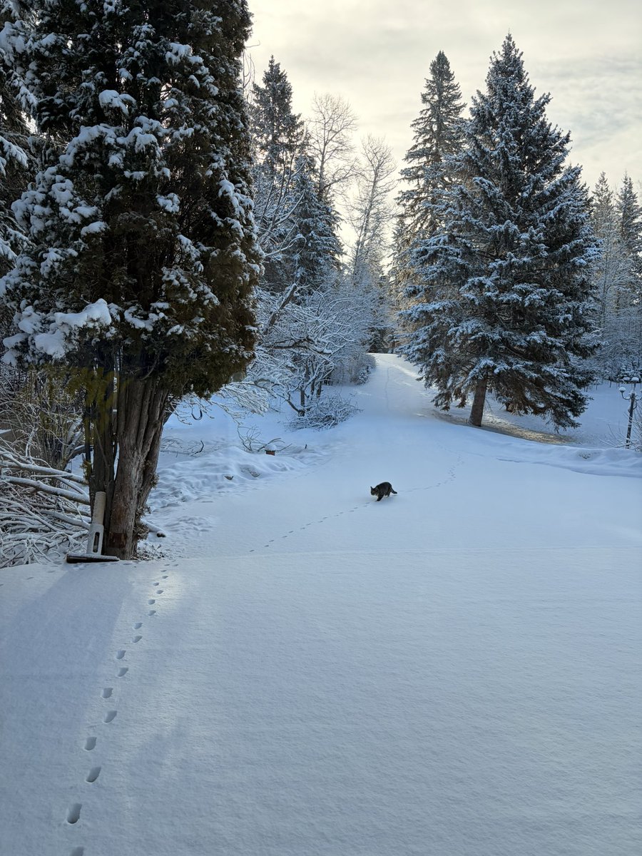 Mommy beautiful like a clown tweet media