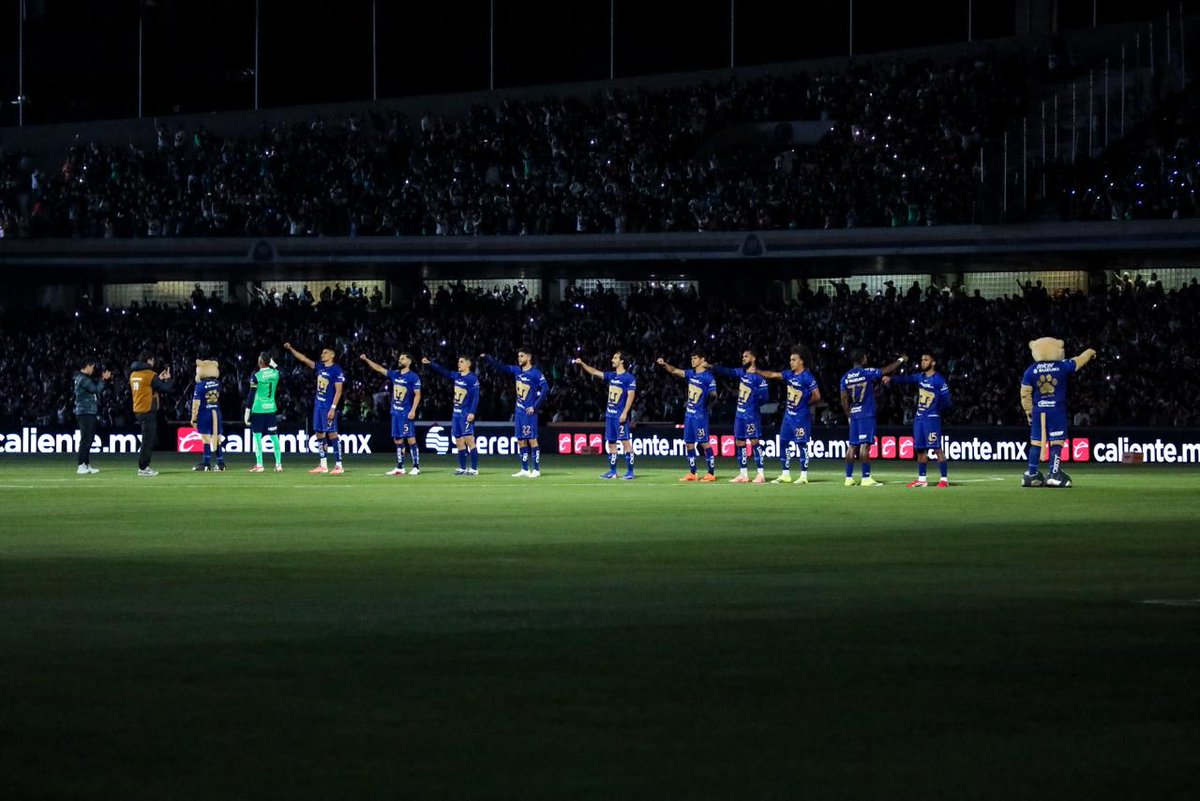 PressPort tweet media