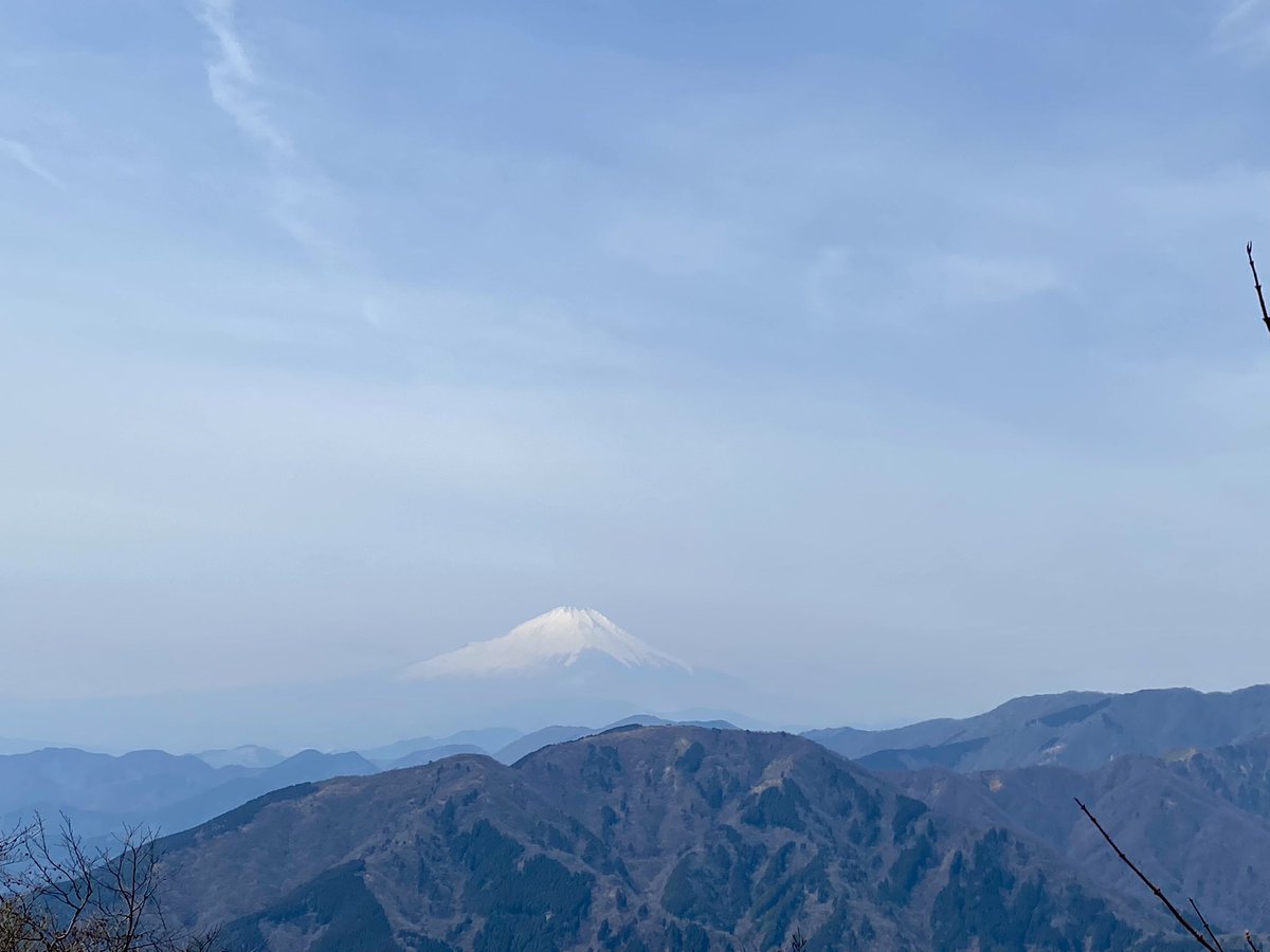 カレー大王おつかれ山⛰️ tweet media
