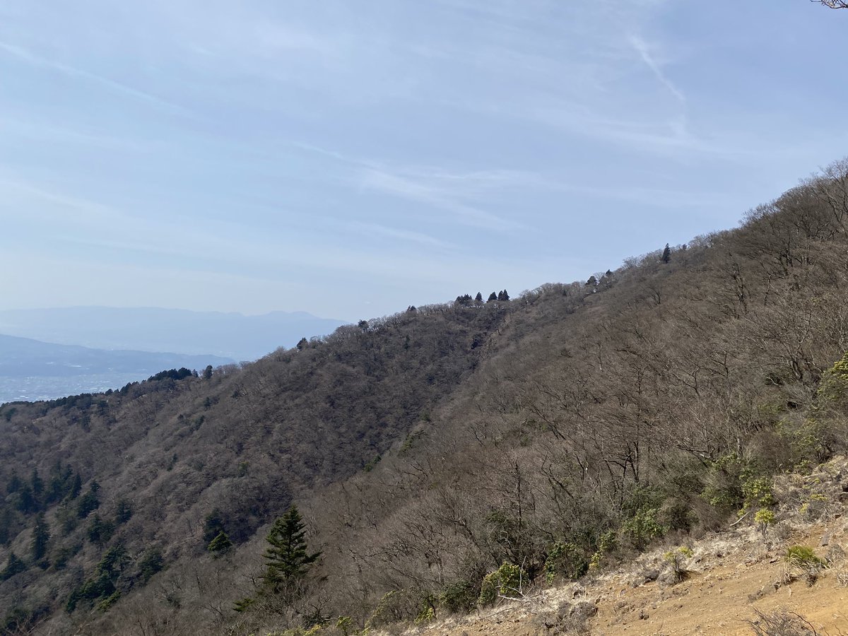 カレー大王おつかれ山⛰️ tweet media