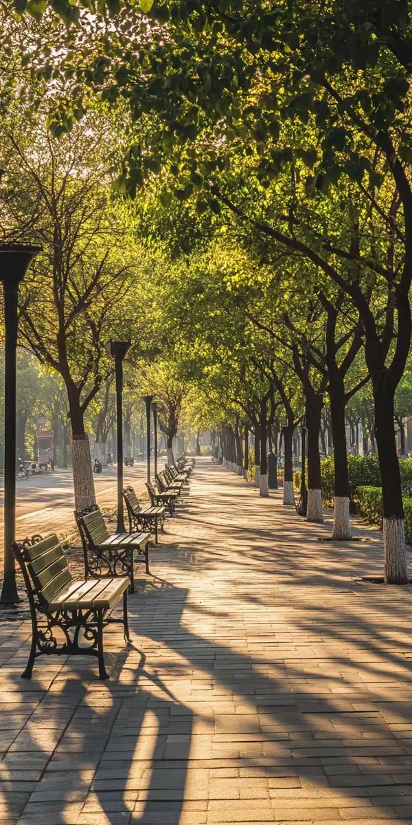 igor felipe tweet media